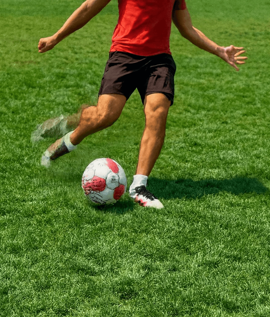 Coach Boban Martinović 4